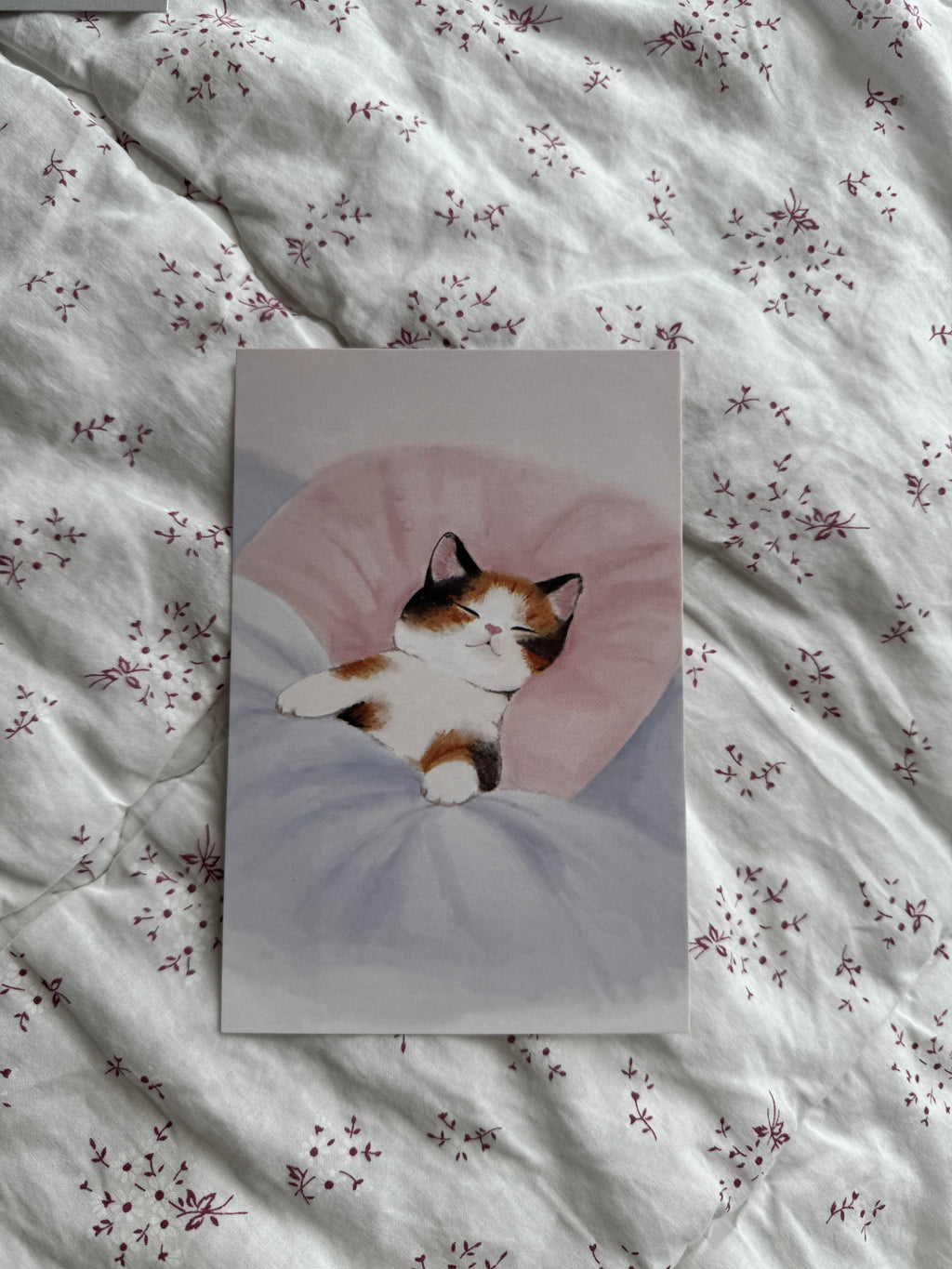 "sleeping kitty" 4x6 print