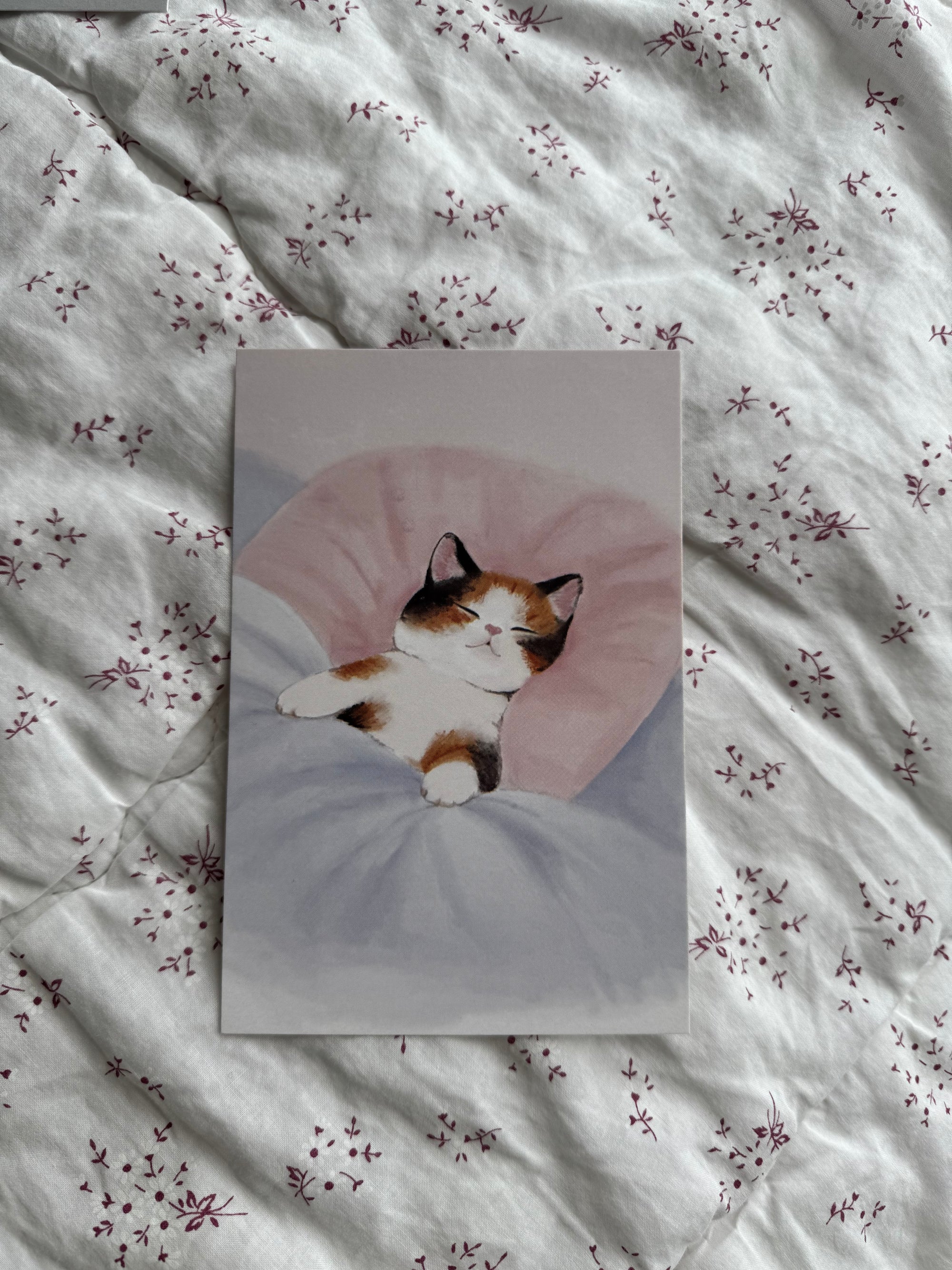 "sleeping kitty" 4x6 print